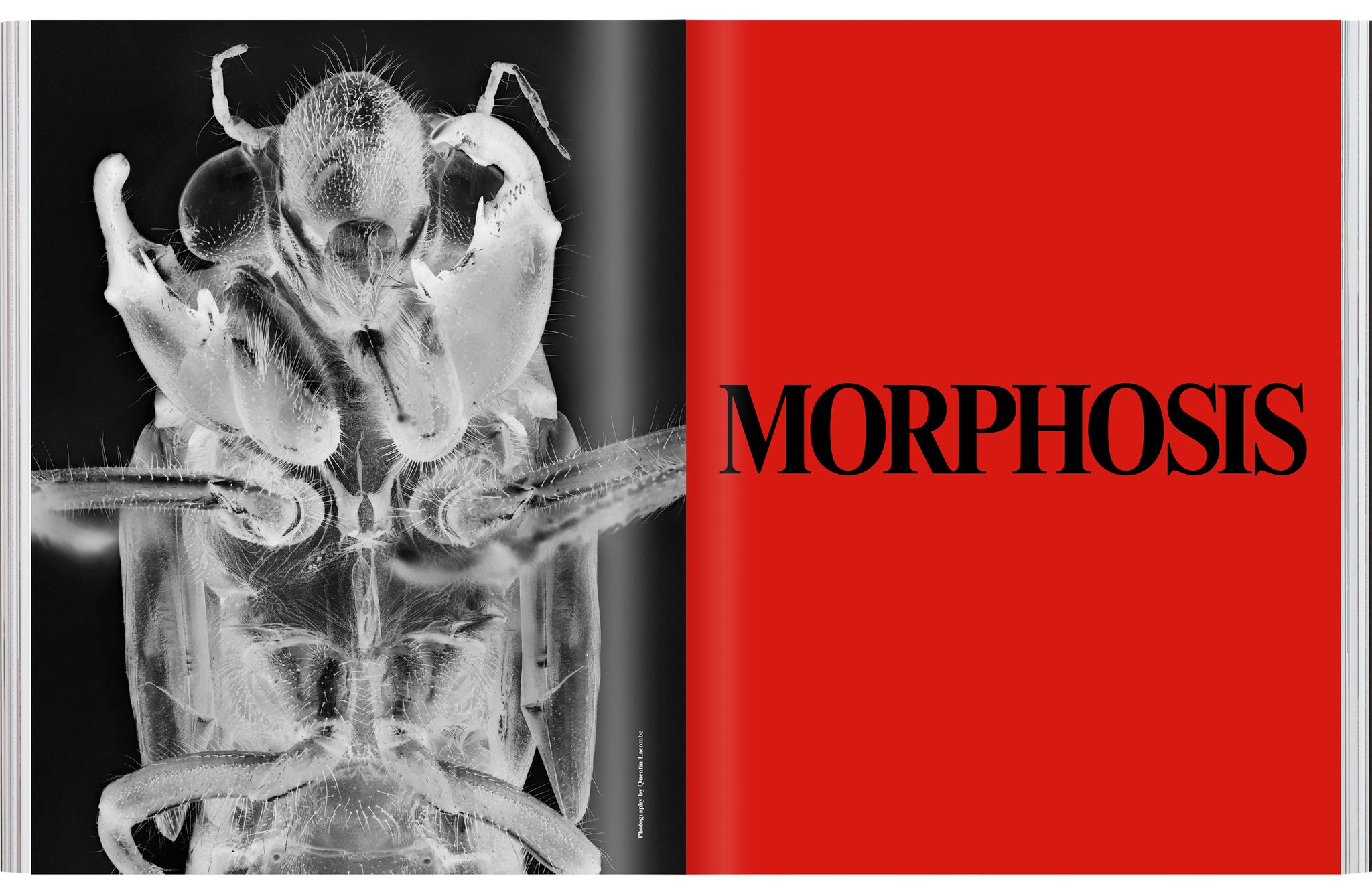 Issue 02: METAMORPHOSIS (Lewis Khan cover)