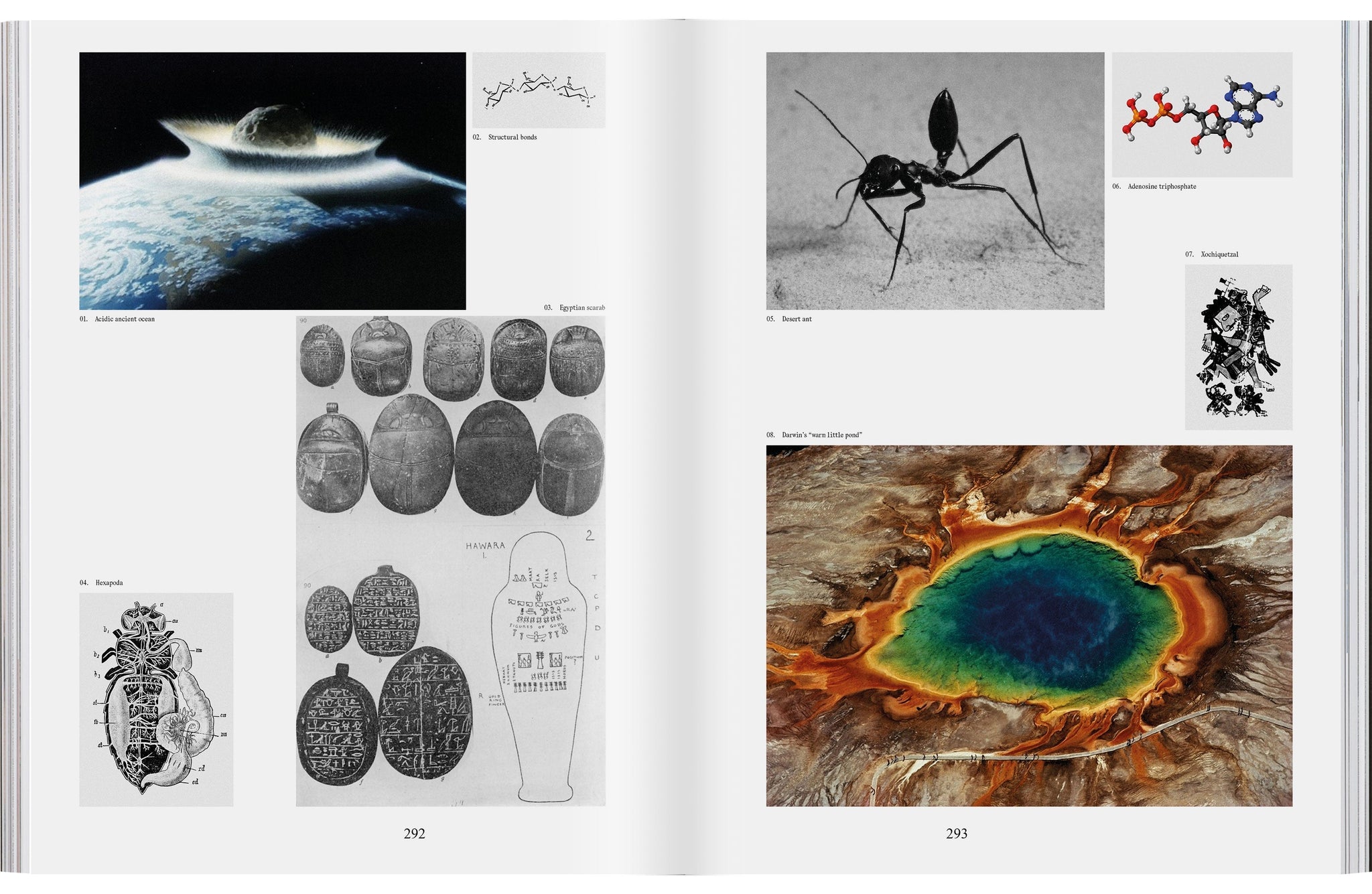 Issue 02: METAMORPHOSIS (Franck Goddio cover)